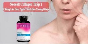 187-collagen-type-2 - -collagen-tuyp-2-khong-bien-tinh-cua-my10