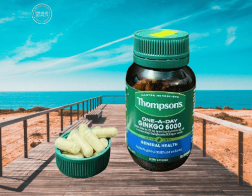 review-thuoc-bo-nao-thompsons-ginkgo-6000-co-tot-khong-tu-nguoi-dung2