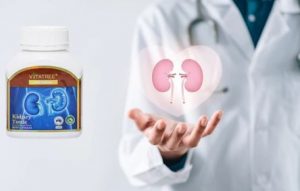 thuoc-bo-than-vitatree-kidney-tonic-co-tot-khong-su-that-tu-chuyen-gia2