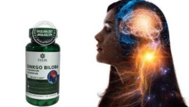 Thuốc felix ginkgo biloba review chi tiết: có đáng mua không?