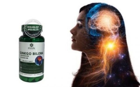 Thuốc felix ginkgo biloba review chi tiết: có đáng mua không?