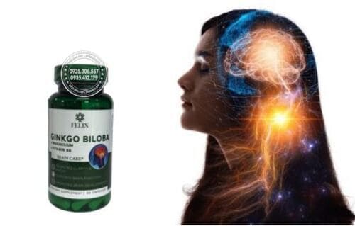 thuoc-felix-ginkgo-biloba-review-chi-tiet-co-dang-mua-khong