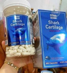 sun-ca-map-shark-cartilage-365-vien-cach-dung-tu-chuyen-gia-de-co-hieu-qua-tot-nhat