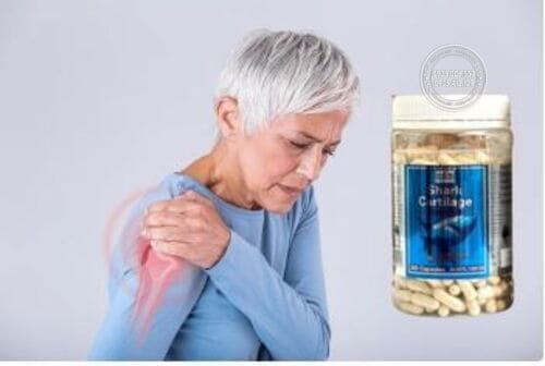 Sụn cá mập shark cartilage 365 viên cách dùng từ chuyên gia để có hiệu quả tốt nhất