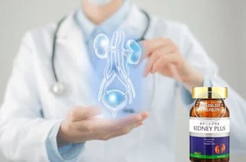 Cách dùng thuốc bổ thận Kidney Plus Premium Jpanwell hiệu quả