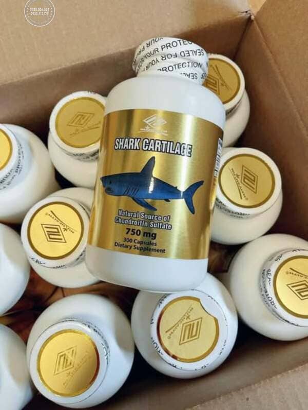 Shark Cartilage 750mg là gì? Thành phần nổi bật